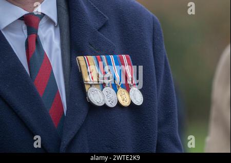 Caserne de Mons, Aldershot, Hampshire, Royaume-Uni. 17 mars 2024. Le régiment des gardes irlandais se réunit lors d'un spécial réuni Défilé de la fête de Patrick et célébration à Aldershot. Le défilé est un point culminant de l'année pour ce régiment à double rôle. Lady Ghika, épouse du lieutenant-colonel régimentaire, le major-général Sir Christopher Ghika, présente le Shamrock aux officiers, Seamus et Adjudants, qui à leur tour l'émettent dans les rangs. Le défilé se termine par une marche passée où le lieutenant-colonel régimentaire, le major-général Sir Christopher Ghika, prend le salut. Crédit : Malcolm Park/Alamy Banque D'Images