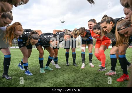 Aalter, Belgique. 16 mars 2024. Les joueuses de Bruges sur la photo se sont rassemblées avant un match de football féminin entre le Club Bruges Dames YLA et AA Gent Ladies dans la demi-finale de la saison 2023 - 2024 de l'édition de la Coupe belge des femmes, le dimanche 16 mars 2024 à Aalter, BELGIQUE . Crédit : Sportpix/Alamy Live News Banque D'Images