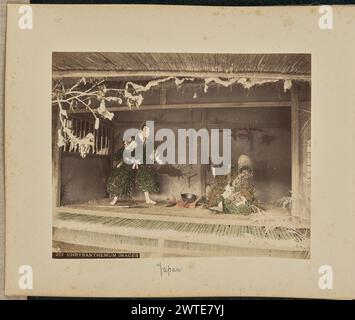 Images de chrysanthème. Inconnu, photographe 1875–1897 vue d'un tableau représentant deux 'kiku ningyo', poupées grandeur nature vêtues de vêtements faits de chrysanthèmes et d'autres fleurs. La poupée de gauche représente un jeune homme portant une épée, tandis que la poupée de droite représente un homme âgé tenant un objet en forme de disque comme bouclier. (Recto, impression) en bas à gauche, imprimé en négatif : '201 IMAGES DE CHRYSANTHÈME' ; (recto, montage) en bas au centre, à l'encre noire : 'Japan'; Banque D'Images