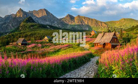 Magnifique paysage de montagnes Tatra, Pologne. Fleurs colorées et chalets dans la vallée de Gasienicowa (Hala Gasienicowa), été Banque D'Images