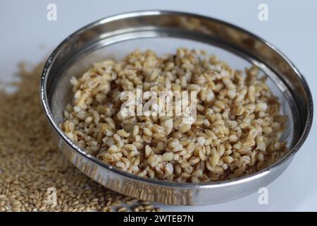 Trempez de l'orge mondée à grains entiers dans la crépine. Grain entier, nutritif, biologique, ingrédient. Parfait pour les recettes saines, les blogueurs alimentaires et le ph alimentaire Banque D'Images