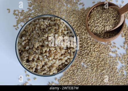 Faire tremper de l'orge décortiquée à grains entiers dans un bol en céramique. Grain entier, nutritif, biologique, ingrédient. Parfait pour les recettes saines, les blogueurs alimentaires et la nourriture Banque D'Images