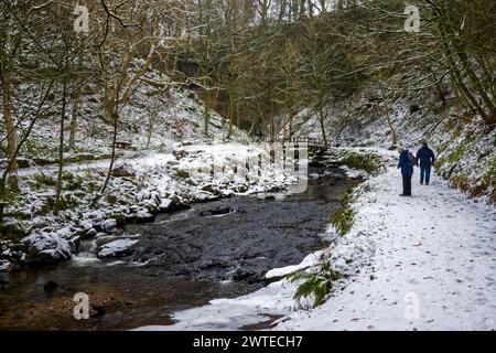 Marcher le long de Hardraw Beck par un matin neigeux de décembre. Banque D'Images