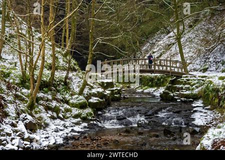 Le pont arqué en bois au-dessus de Hardraw Beck par un matin neigeux de décembre. Un homme regarde l'eau et la forêt hivernale. Banque D'Images