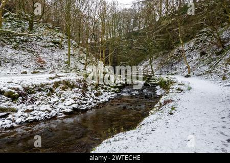 Le pont arqué en bois au-dessus de Hardraw Beck par un matin neigeux de décembre. Un homme regarde l'eau et la forêt hivernale. Banque D'Images