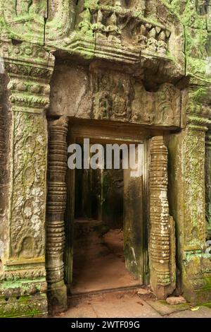 Temple Ta Prohm à Angkor près de Siem Reap au Cambodge en Asie du Sud-est Banque D'Images