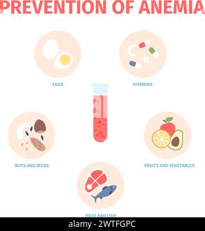 Anémie alimentaire. De quoi manger pour prévenir les maladies du sang et la carence en fer. Oeufs, poisson et viande, fruits et légumes et vitamines, vecteur récent Illustration de Vecteur