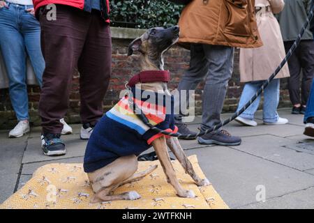 Londres, Royaume-Uni. 17 mars 2024. De nombreux électeurs apportent leurs compagnons à quatre pattes sachant que le processus peut prendre un certain temps. Des milliers d'électeurs sont descendus à l'ambassade de Russie à Kensington et certains d'entre eux ont fait la queue pendant quatre heures avant de voter. Beaucoup d'attente ont été vues drapées dans le drapeau bleu et blanc pro-démocratie alors que Yulia, l'épouse du défunt leader de l'opposition Alexei Navalny, a exhorté les électeurs à se présenter à une manifestation "midi contre Poutine", tandis que l'équipe de Navalny a demandé aux individus de gâcher leurs bulletins de vote. Crédit : onzième heure photographie/Alamy Live News Banque D'Images