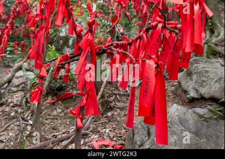 Les gens viennent écrire leurs vœux sur des rubans rouges accrochés aux arbres le long des chemins dans Wish Forest of Tianmen Mountain en Chine. Banque D'Images