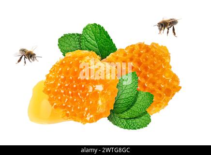 Savoureux nids d'abeilles, menthe et abeilles sur fond blanc Banque D'Images