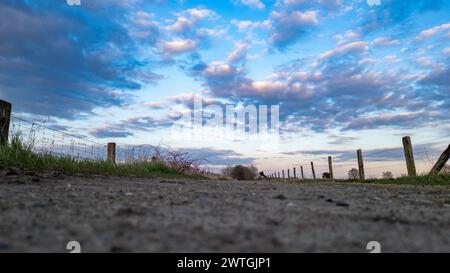 Une perspective au niveau du sol capture une route de campagne menant à un ciel nocturne éclatant, orné d'un paysage nuageux spectaculaire. Paysage nuageux spectaculaire depuis le niveau du sol le long d'une route de campagne. Photo de haute qualité Banque D'Images