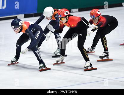 Rotterdam, pays-Bas. 17 mars 2024. Les joueurs concourent lors de la finale du relais par équipes mixtes A aux Championnats du monde de patinage de vitesse sur courte piste de l'ISU 2024 à Rotterdam, pays-Bas, le 17 mars 2024. Crédit : Lian Yi/Xinhua/Alamy Live News Banque D'Images