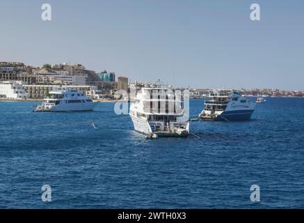 Yachten, Ausflugsschiffe vor Hurghada, Ägypten Banque D'Images