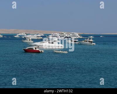 Yachten, Ausflugsschiffe vor Hurghada, Ägypten Banque D'Images