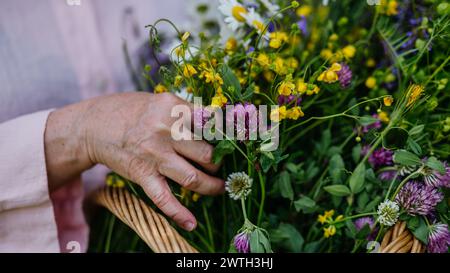 Femme tenant un panier en osier avec des fleurs de prairie. Une variété colorée de fleurs sauvages d'été. Banque D'Images