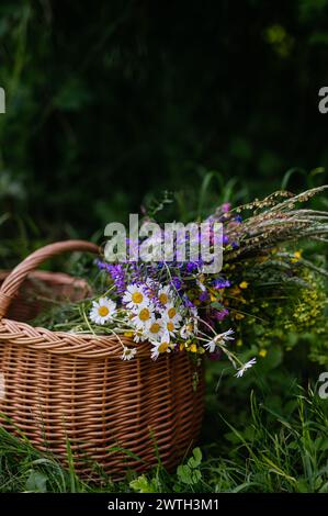 Panier en osier avec fleurs de prairie. Une variété colorée de fleurs sauvages d'été. Banque D'Images