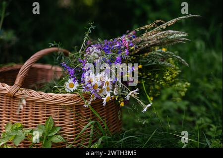 Panier en osier avec fleurs de prairie. Une variété colorée de fleurs sauvages d'été. Banque D'Images