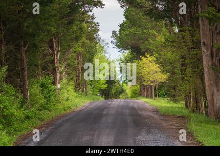 Parc historique national de Cedar Creek et Belle Grove en Virginie Banque D'Images