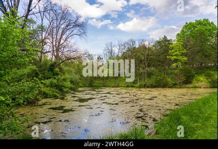 Parc historique national de Cedar Creek et Belle Grove en Virginie Banque D'Images