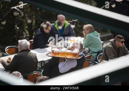 AUTRICHE ; VIENNE ; 20240315 ; les serveurs transportent des tables avec de la bière Budweiser tchèque dans le jardin de la bière du célèbre restaurant Schweizerhaus (Swisshouse) dans le parc d'attractions Prater de Vienne le 15 mars 2024. Le restaurant Schweizerhaus est connu pour son stelzen de porc et sa bière Budweiser pendant l'ouverture de saison. - 20240315 PD16999 crédit : APA-PictureDesk/Alamy Live News Banque D'Images