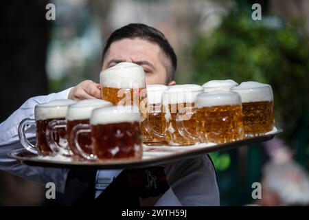 AUTRICHE ; VIENNE ; 20240315 ; les serveurs transportent des tables avec de la bière Budweiser tchèque dans le jardin de la bière du célèbre restaurant Schweizerhaus (Swisshouse) dans le parc d'attractions Prater de Vienne le 15 mars 2024. Le restaurant Schweizerhaus est connu pour son stelzen de porc et sa bière Budweiser pendant l'ouverture de saison. - 20240315 PD17002 crédit : APA-PictureDesk/Alamy Live News Banque D'Images