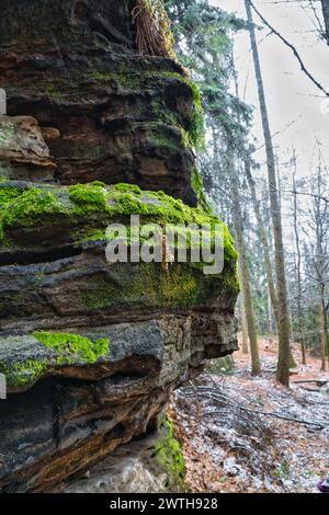 Vue sur le grès envahi de mousse aux arbres enneigés et couverts de gel sur le Zschirnstein. Parc naturel en Suisse saxonne en Allemagne Banque D'Images