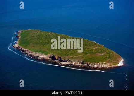 Puffin Island, Ynys Seiriol, Anglesey, pays de Galles du Nord, Royaume-Uni. Banque D'Images