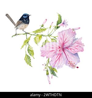 Fleur d'hibiscus rose aquarelle avec des feuilles vertes et un oiseau. Élément peint à la main isolé sur fond blanc. Composition florale. Thé hibiscus Banque D'Images