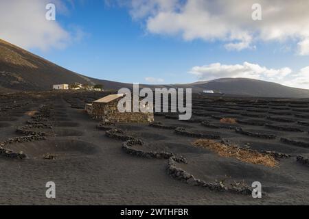 Région viticole de la Geria au coeur de Lanzarote, la Geria, Canarias, Espagne Banque D'Images