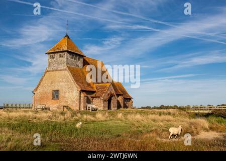 Une vue idyllique sur le Kent avec des moutons qui paissent autour de Fairfield Church par une journée ensoleillée Banque D'Images