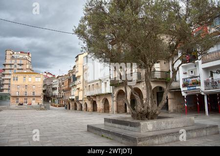 Plaza do Berbes dans le centre historique de Vigo par une journée nuageuse sans personnes Banque D'Images