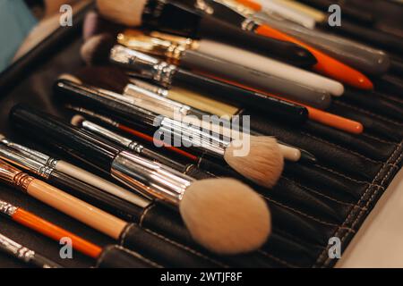 Pinceaux de maquillage assortis dans un étui en cuir noir, accessoires pour maquilleurs Banque D'Images