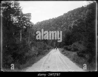 Route à travers la forêt de hêtres dans la vallée de la rivière Hope. négatifs noir et blanc, négatifs pour plaques sèches en gélatine Banque D'Images