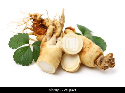 Racines de ginseng sur fond blanc Banque D'Images