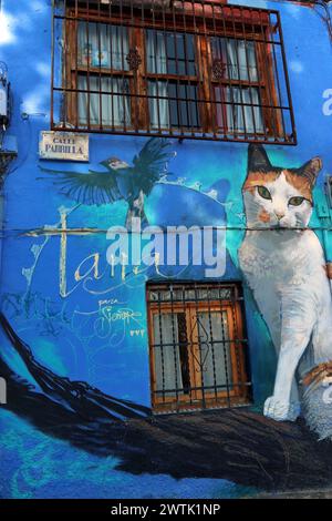 Grande murale de Street art dynamique d'un chat signé par Tana, décore le mur d'une maison dans le quartier Realejo-San Matias de Grenade, en Espagne. Banque D'Images