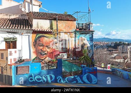 De grandes peintures murales animées décorent les maisons et les murs du quartier Realejo-San Matias, révélant un côté contemporain de Grenade, en Espagne Banque D'Images