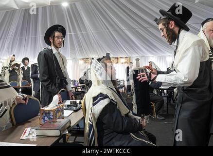 Après une lecture de la Torah, le rouleau est soulevé, montré à la congrégation, puis recouvert de son manteau comme on le voit ici. Dans le comté de Rockland, New York Banque D'Images