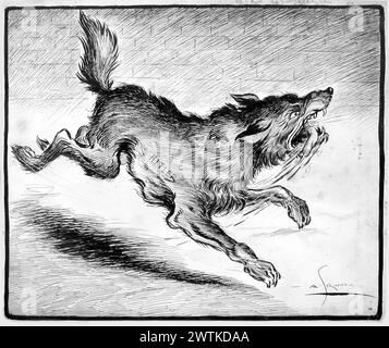 Dessin animé - chien enragé déchaîné Arthur George Racey (1870-1941) Banque D'Images