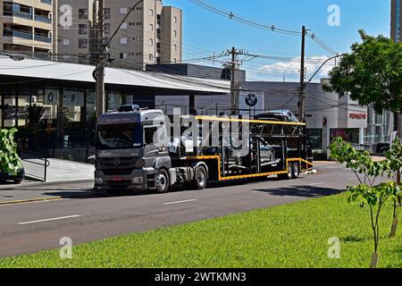 RIBEIRAO PRETO, SAO PAULO, BRÉSIL - 29 décembre 2023 : camion de cigogne sur l'avenue Banque D'Images