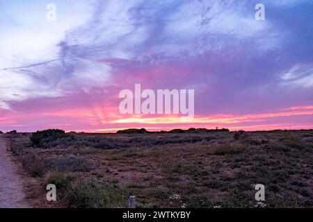 L'image captivante met en valeur un sentier côtier serpentant vers un horizon de coucher de soleil saisissant. Le ciel est enflammé avec un spectre de couleurs, allant des violets profonds aux roses et oranges ardents, signalant la fin de la journée. La végétation côtière naturelle se silhouette sur le ciel vibrant, contribuant au contraste dynamique de la scène. Ce moment de tranquillité est celui où la dernière lumière du jour offre un spectacle visuel, inspirant réflexion et paix. Sentier côtier menant à un Sunset Horizon. Photo de haute qualité Banque D'Images