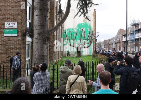 Londres, Royaume-Uni, 18 mars 2024. Les visiteurs se sont rassemblés à Hornsey Street, près de Finsbury Park, au nord de Londres, pour voir la nouvelle murale de Banksy. De la peinture verte a été pulvérisée sur un mur derrière l'arbre pour donner l'illusion du feuillage, avec une personne tenant un tuyau de pression au pochoir à côté de lui. La peinture verte semble ressembler à la couleur de la signalisation du conseil municipal d'Islington, et il y a aussi un lien possible avec la Saint Patrick hier. Crédit : Monica Wells/Alamy Live News Banque D'Images