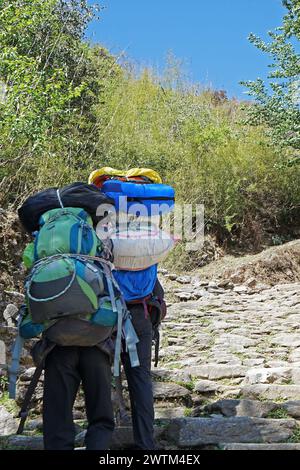 Porteurs transportant de grandes charges de sacs sur son dos le long des marches rocheuses- Népal Banque D'Images