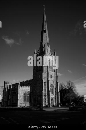 Thaxted Church Thaxted Essex Angleterre. 17 mars 2024 L'Église de prévoyant Jean-Baptiste, notre Dame et composé Laurence en fin d'après-midi au soleil. Banque D'Images