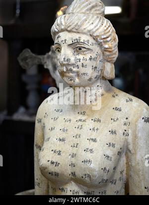 Une statue d'acupuncture chinoise vintage grandeur nature à vendre dans un magasin d'antiquités à Asheville, Caroline du Nord. Banque D'Images