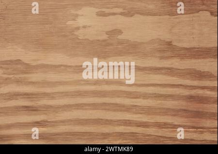 vieille texture abstraite en bois décoloré et altéré, surface de planche ou de panneau en bois, fond de panneau de bois délavé, papier peint ou toile de fond pour signe bo Banque D'Images