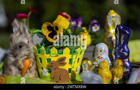 Berlin, Allemagne. 18 mars 2024. Une pensée fleurie se tient par temps ensoleillé dans un panier de Pâques dans un jardin entouré de décorations de Pâques et de lapins de Pâques en chocolat. Crédit : Monika Skolimowska/dpa/Alamy Live News Banque D'Images