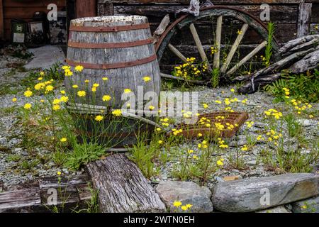 Reliques de l'ancien temps dans l'ancienne ville minière d'or de Ross, région de la côte ouest, Île du Sud, Nouvelle-Zélande Banque D'Images