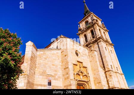 Santa e insigne Catedral-Magistral de los Santos Justo y Pastor - la cathédrale Saint-Justus et Saint-Pasteur à Alcalá de Henares. Alcalá de Henares, Co Banque D'Images