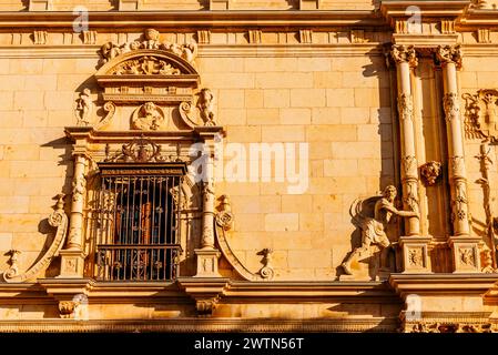 Fenêtre et figures allégoriques. Détail plateresque façade. Colegio Mayor de San Ildefonso - Collège Saint Ildephonse. Université de Alcalá. Alcalá de Banque D'Images