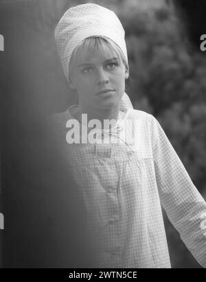 Portrait de l'actrice britannique JULIE CHRISTIE dans DARLING 1965 réalisateur JOHN SCHLESINGER scénario FREDERIC RAPHAEL costume Design JULIE HARRIS musique JOHN DANKWORTH Vic-Appia films / Anglo Amalgamated Banque D'Images